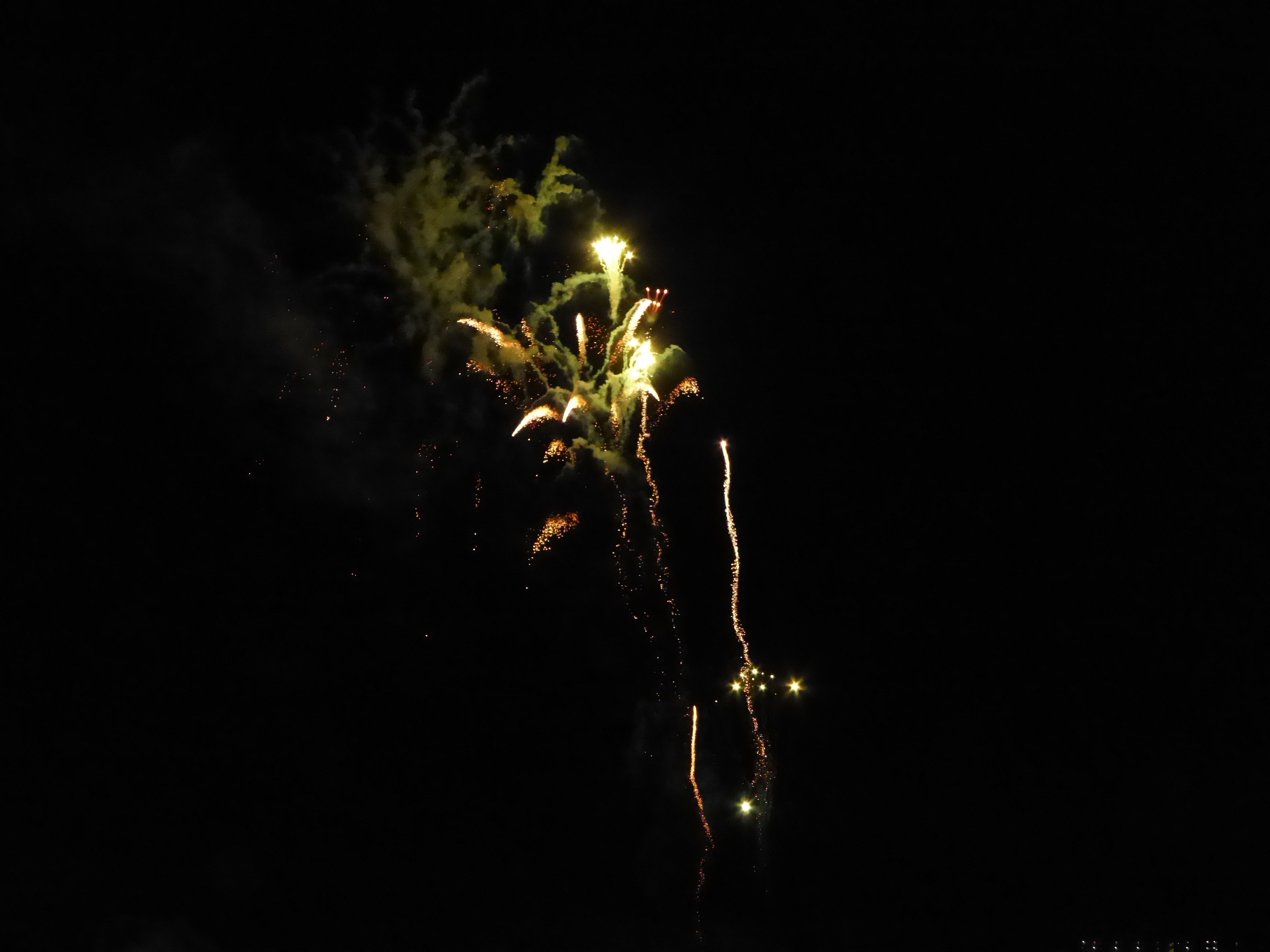 P1060611.JPG