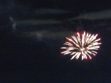 img0012.jpg