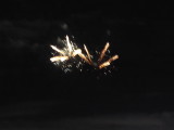 img0031.jpg