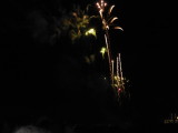 img0039.jpg