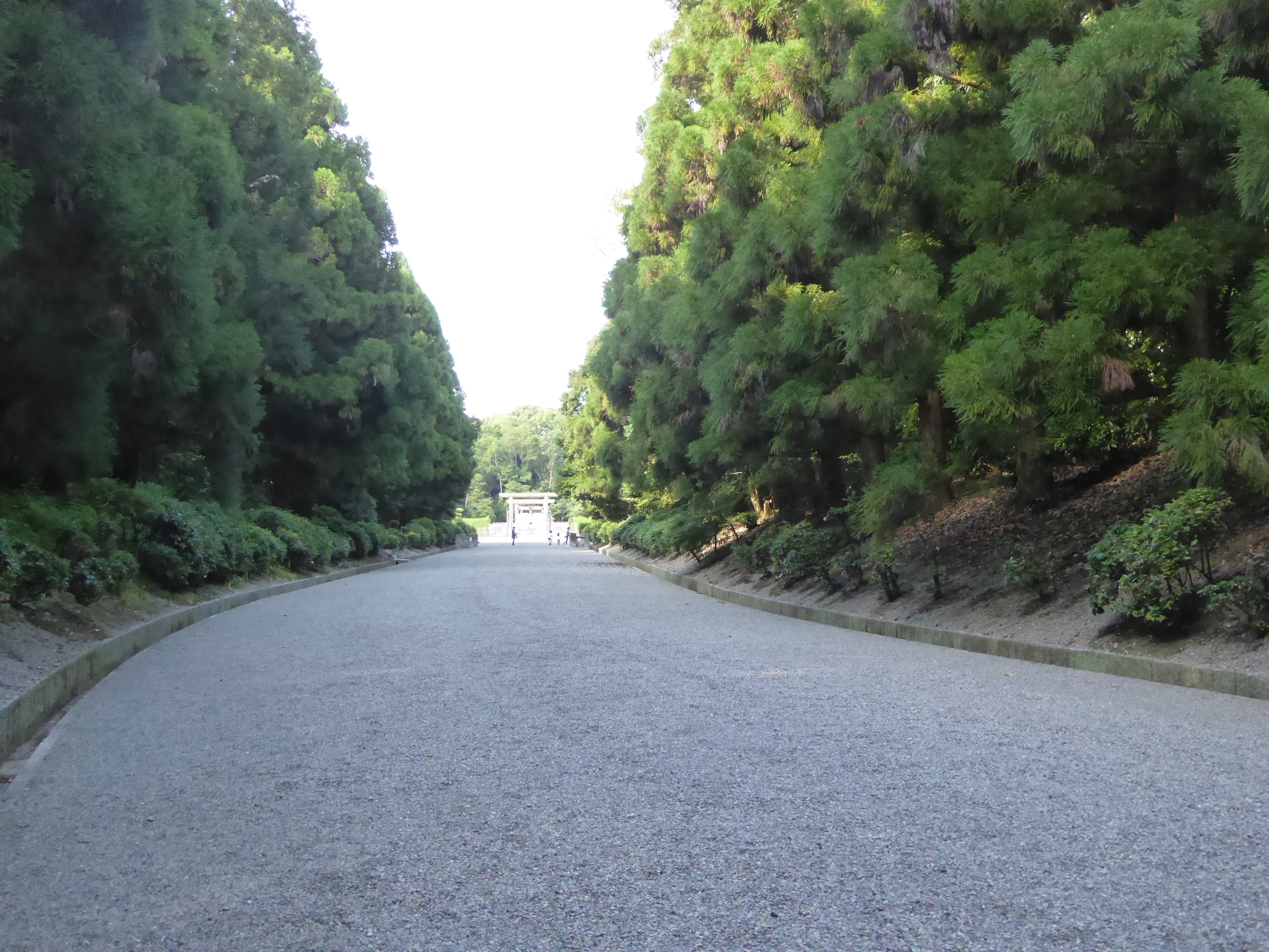 P1060730.JPG