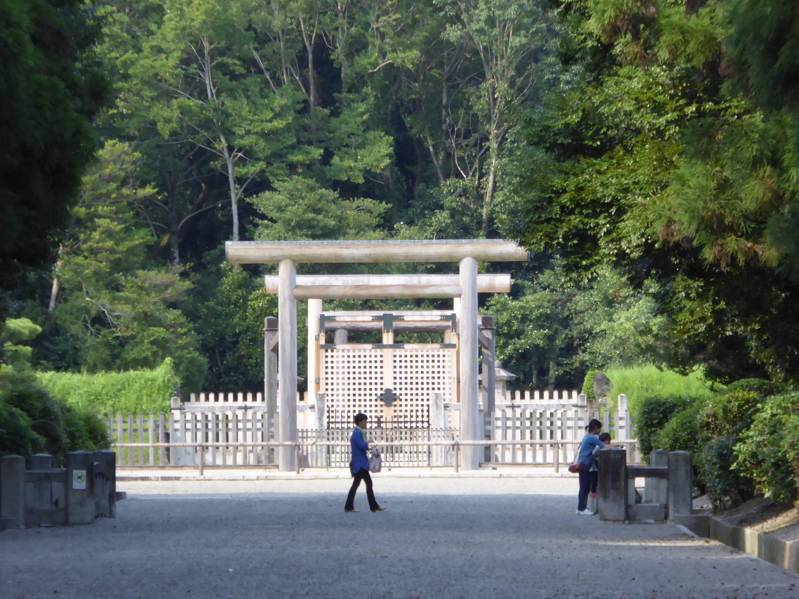 P1060731.JPG