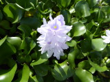 img0001.jpg