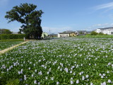 img0008.jpg