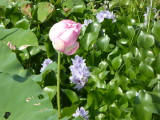 img0011.jpg
