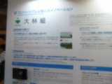 img0010.jpg