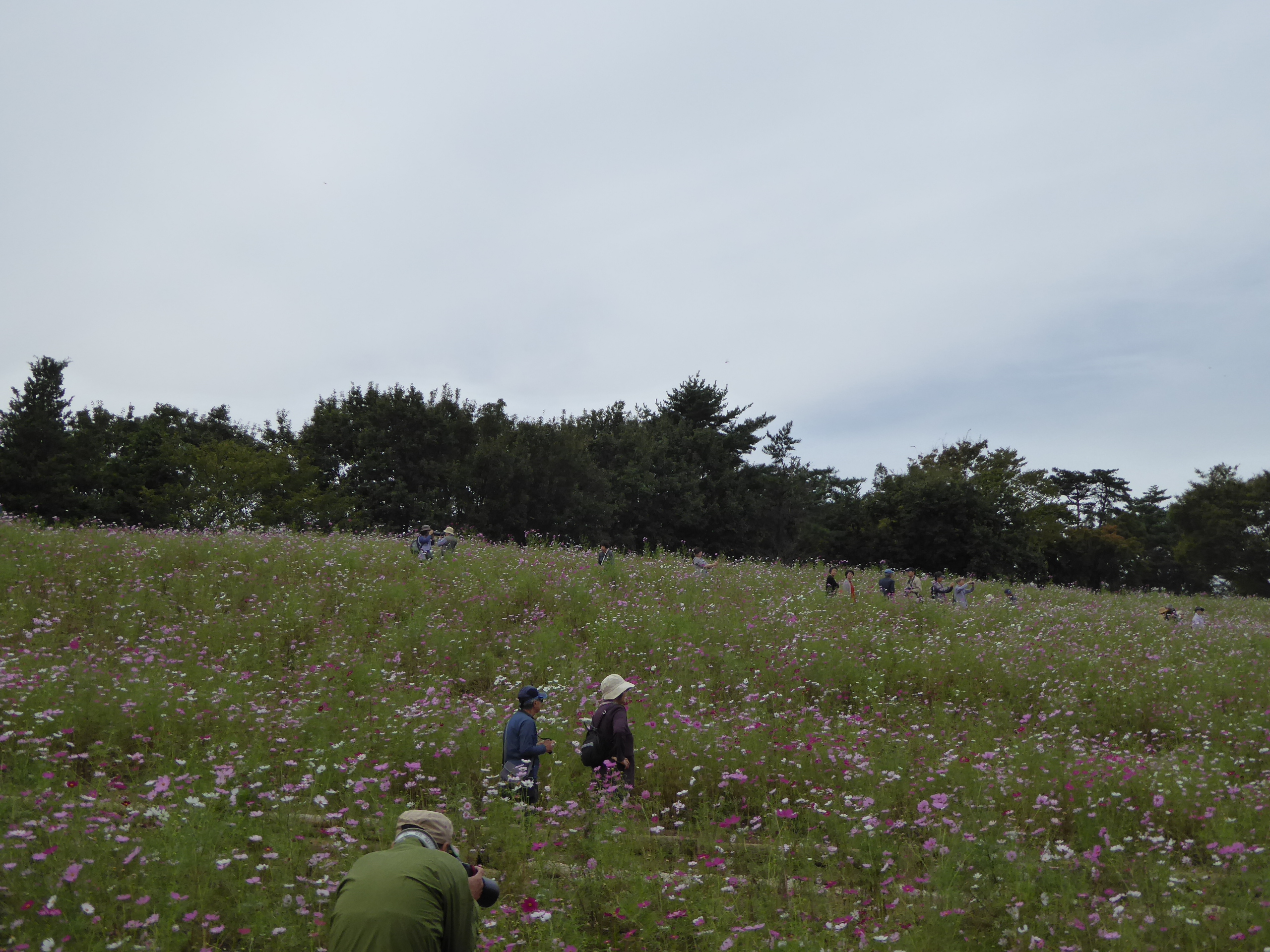 P1060856.JPG