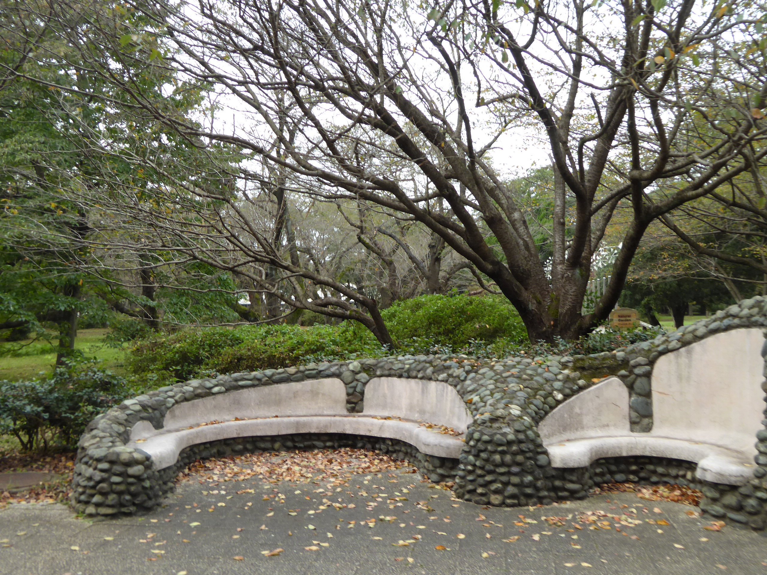 P1060871.JPG