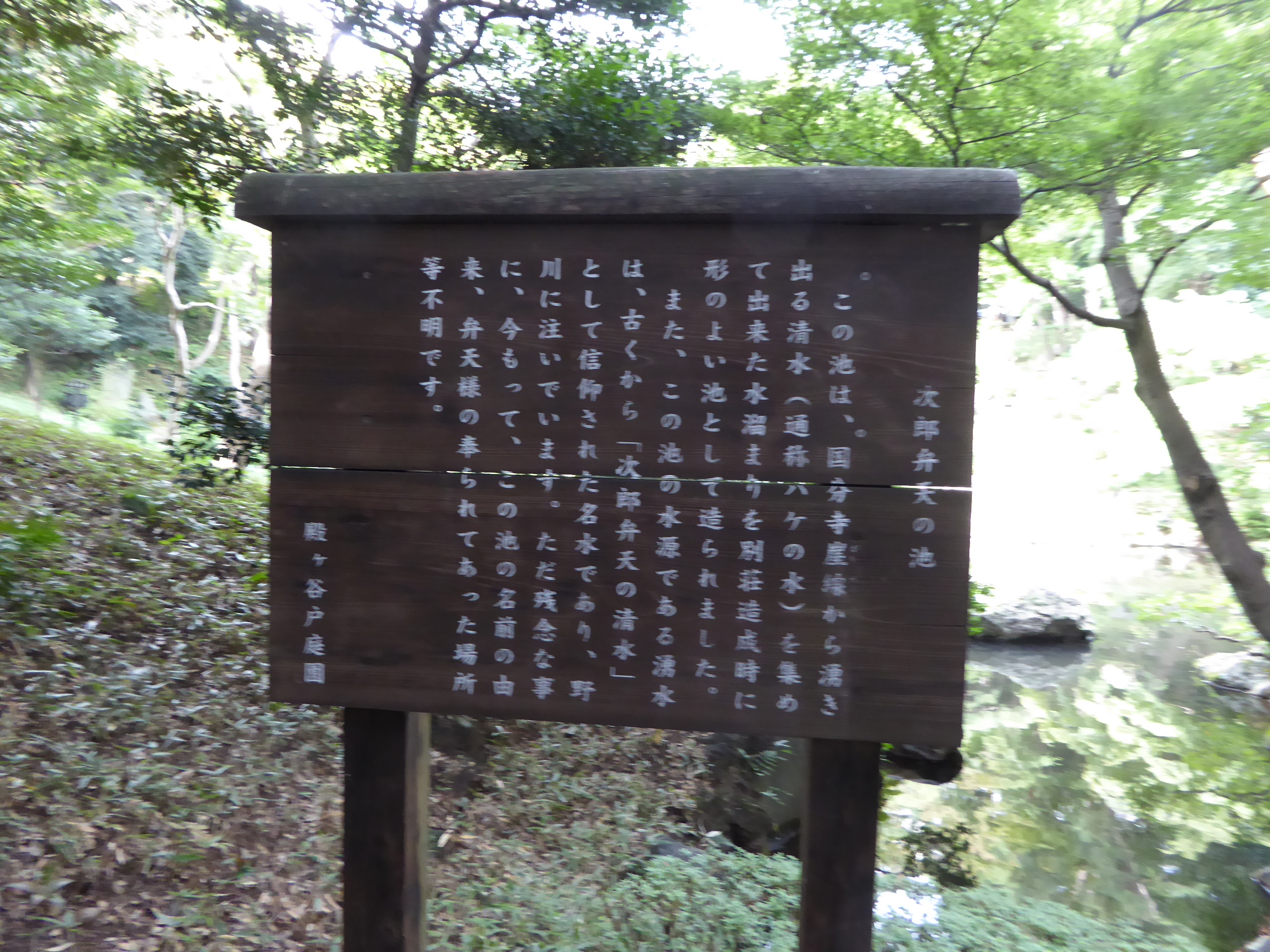 P1060882.JPG