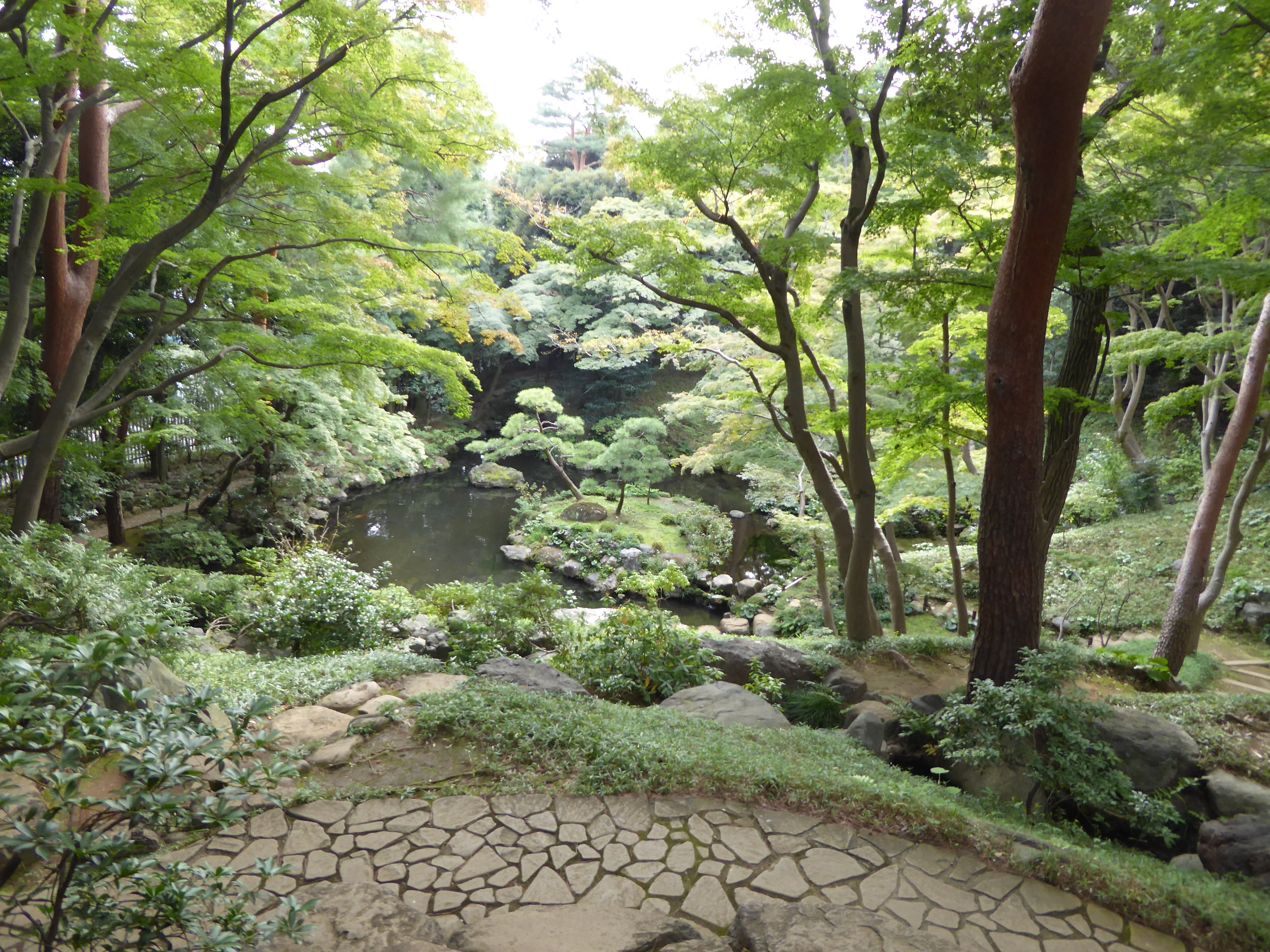 P1060884.JPG