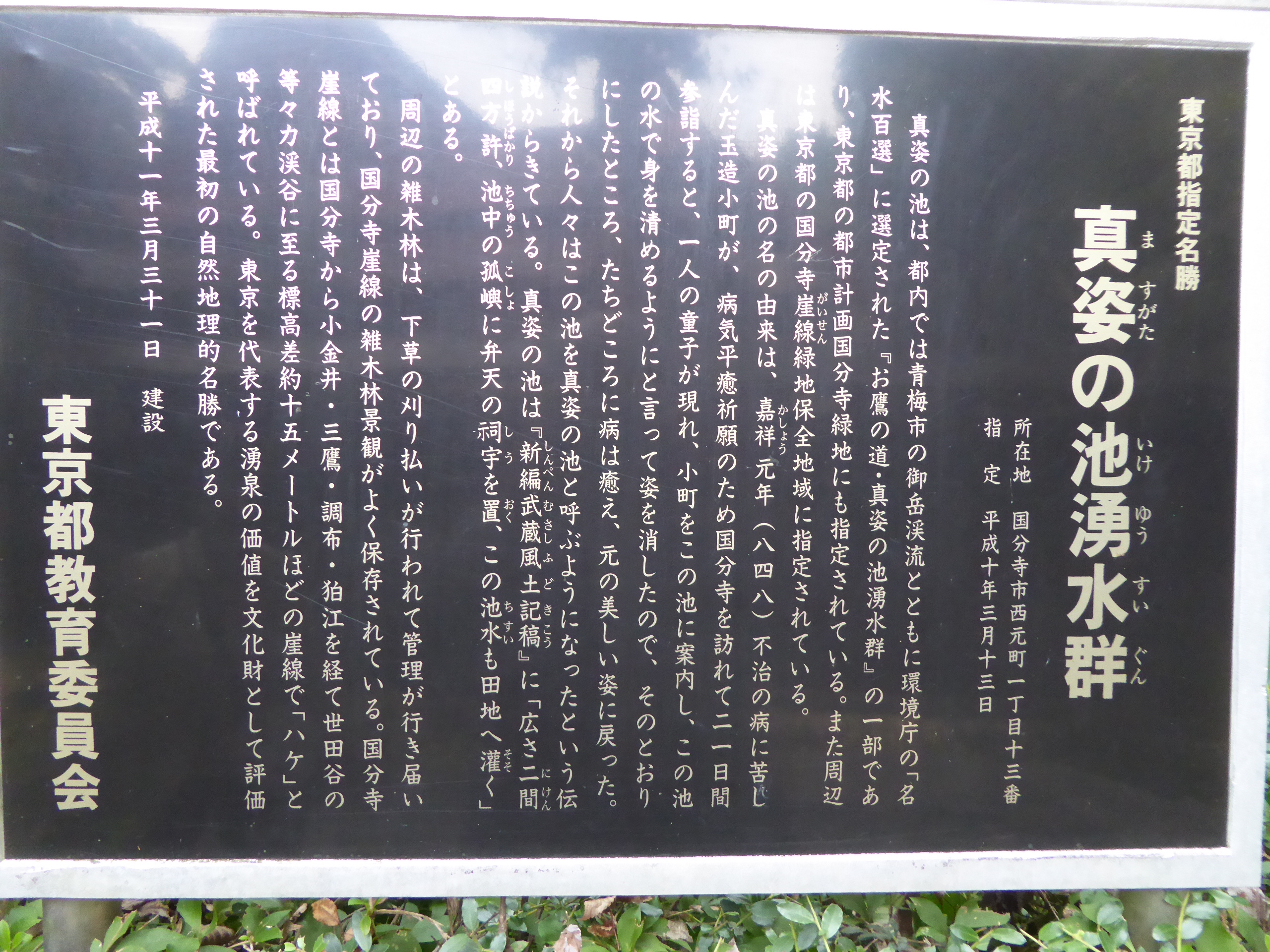 P1060889.JPG
