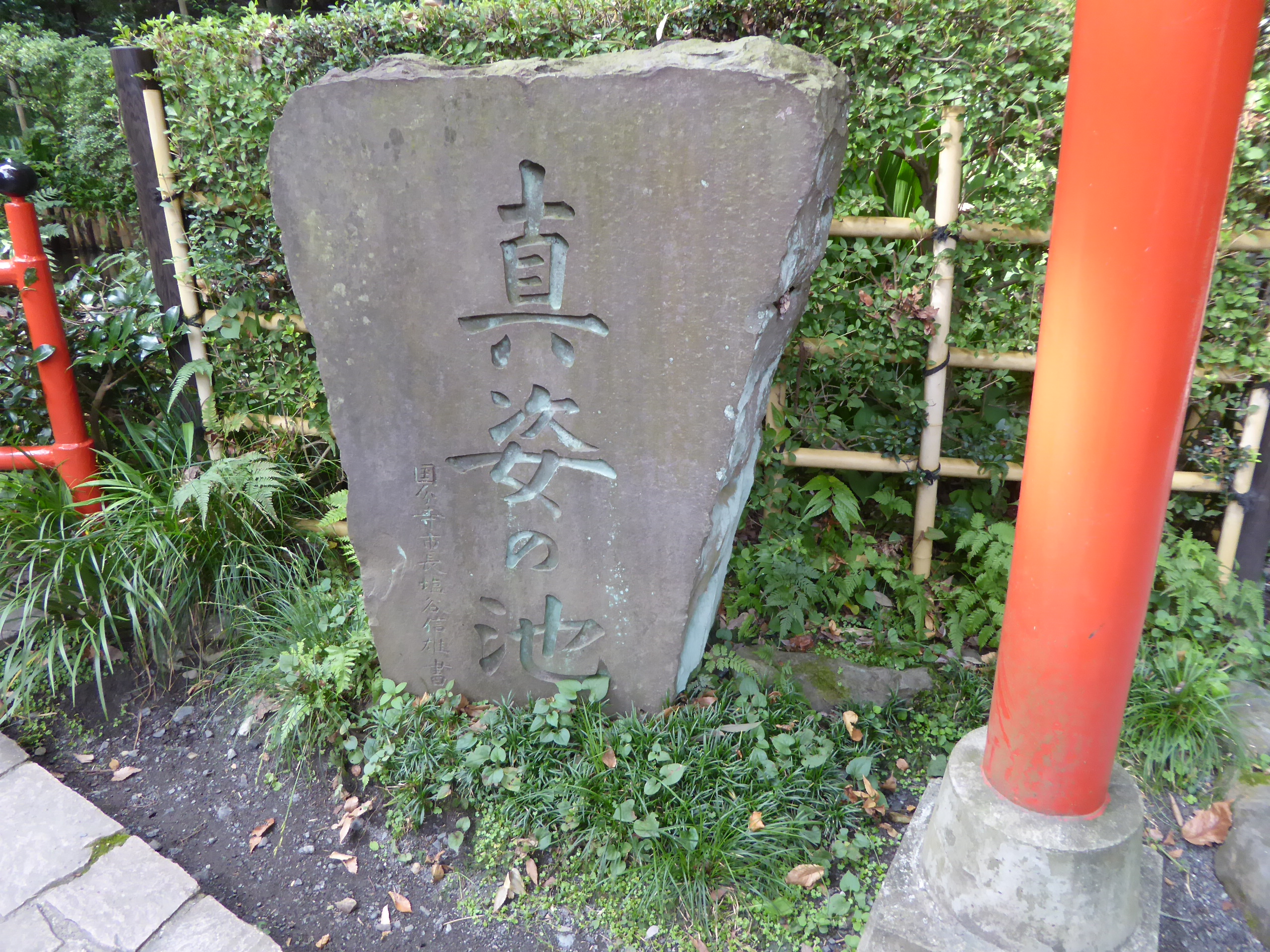 P1060893.JPG