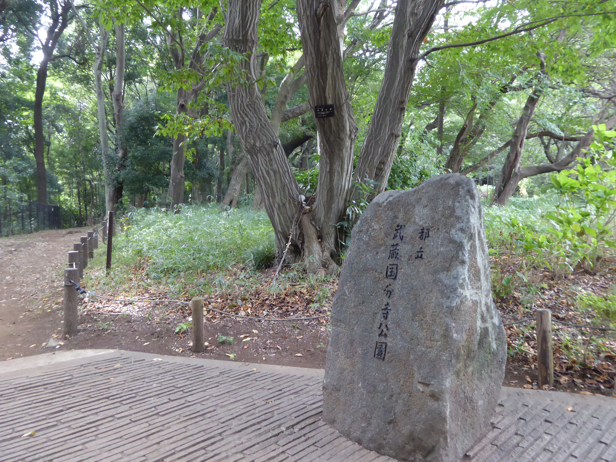 P1060894.JPG