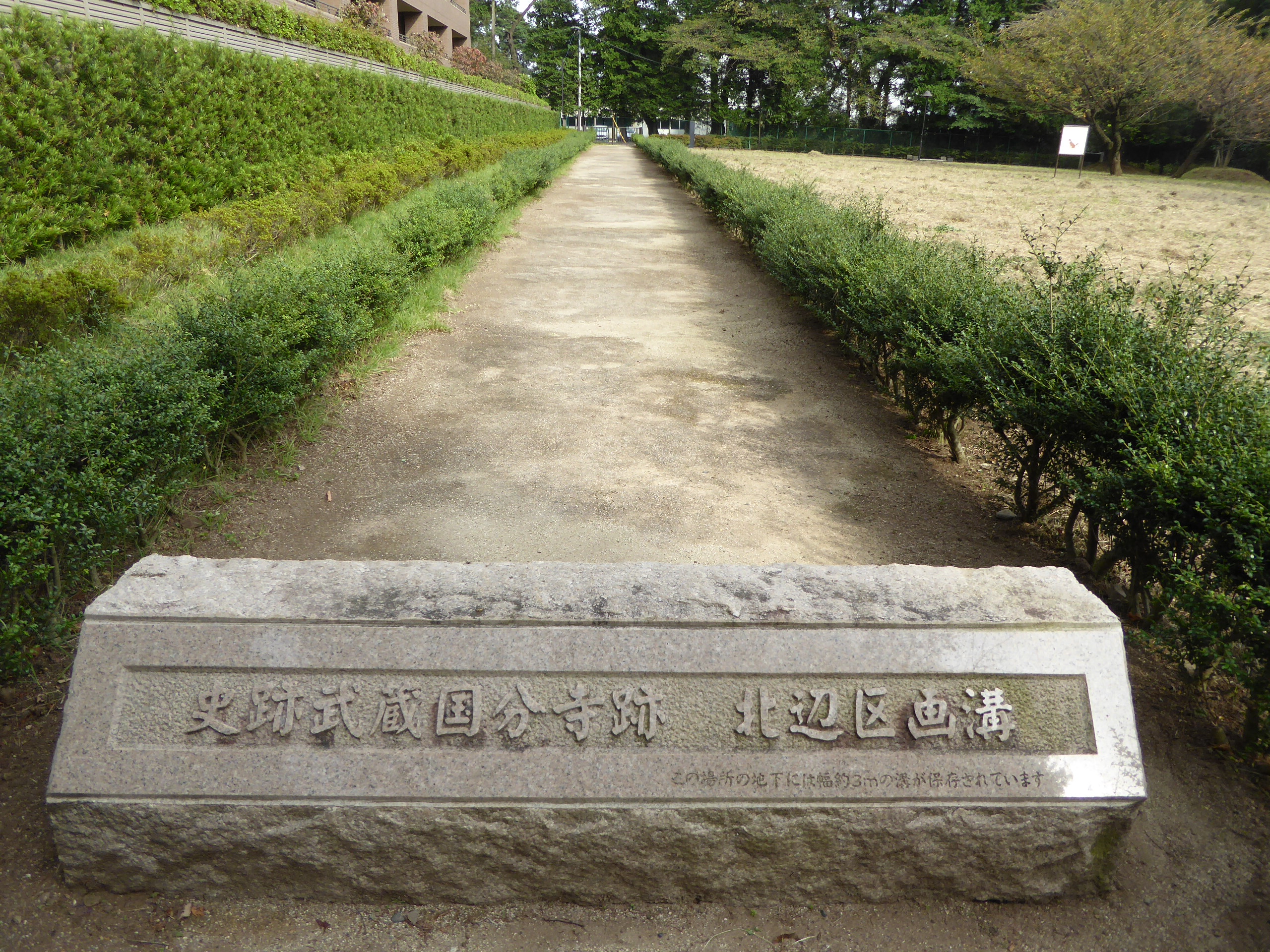 P1060895.JPG