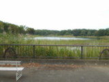 img0000.jpg