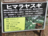 img0004.jpg