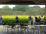 img0010.jpg