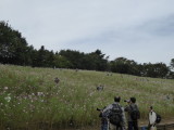 img0012.jpg