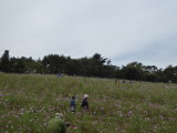 img0013.jpg