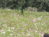 img0014.jpg