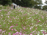 img0015.jpg