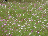 img0016.jpg