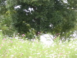 img0018.jpg