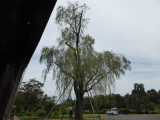 img0020.jpg