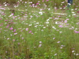 img0022.jpg