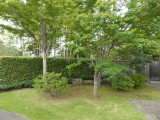 img0024.jpg