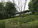 img0025.jpg