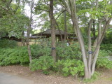 img0026.jpg