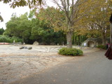 img0030.jpg