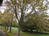 img0031.jpg