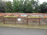 img0033.jpg