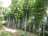 img0037.jpg