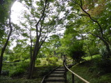 img0038.jpg