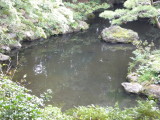 img0042.jpg