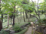 img0043.jpg