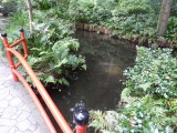 img0047.jpg