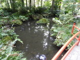 img0049.jpg