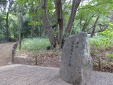img0051.jpg