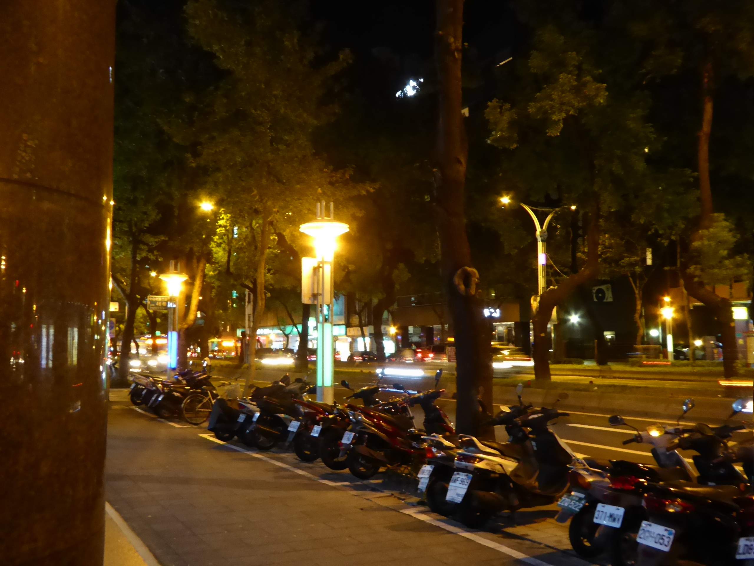 P1070019.JPG