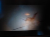 img0017.jpg