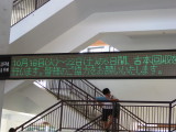img0061.jpg