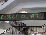 img0062.jpg