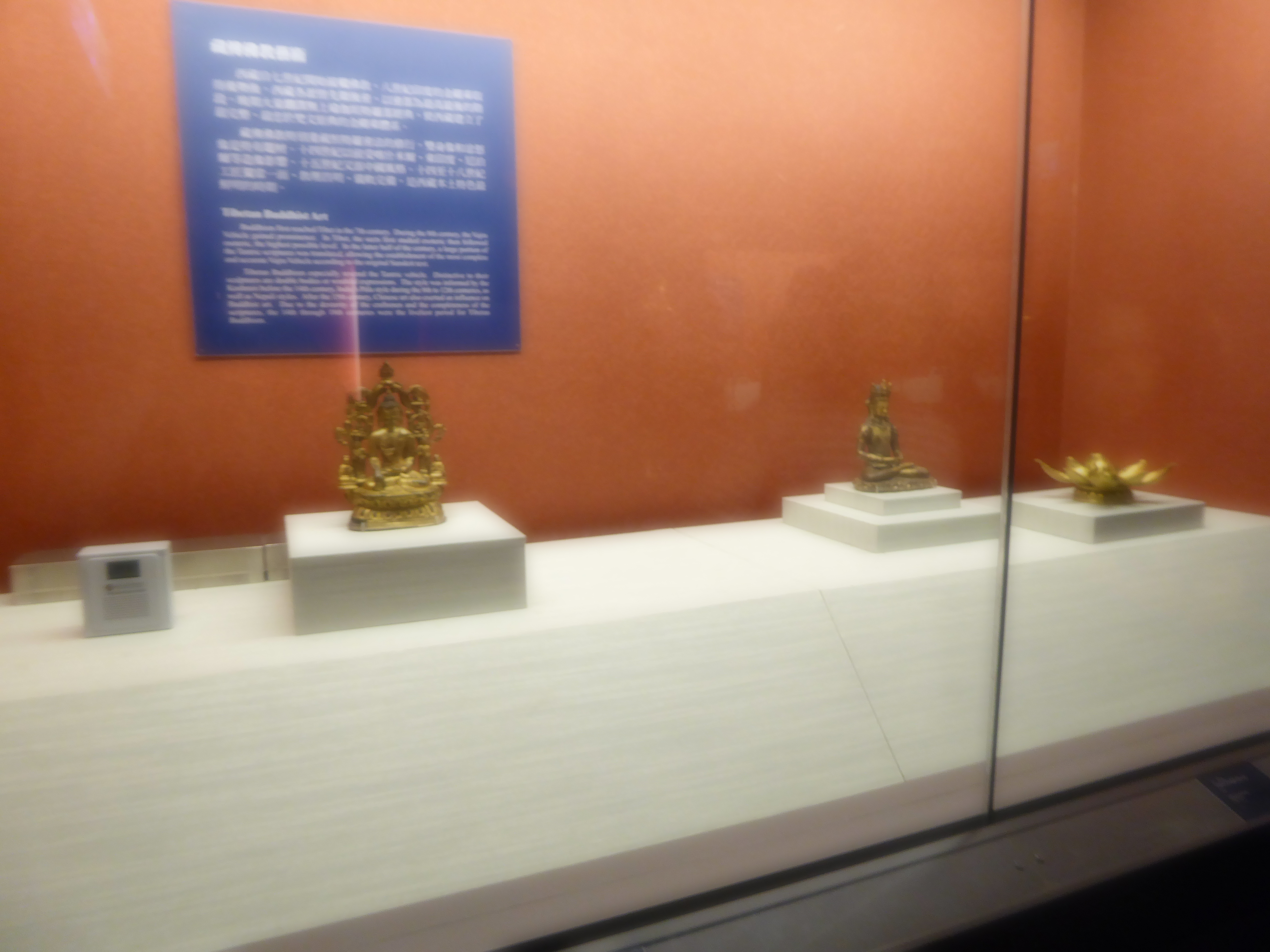 P1070104.JPG