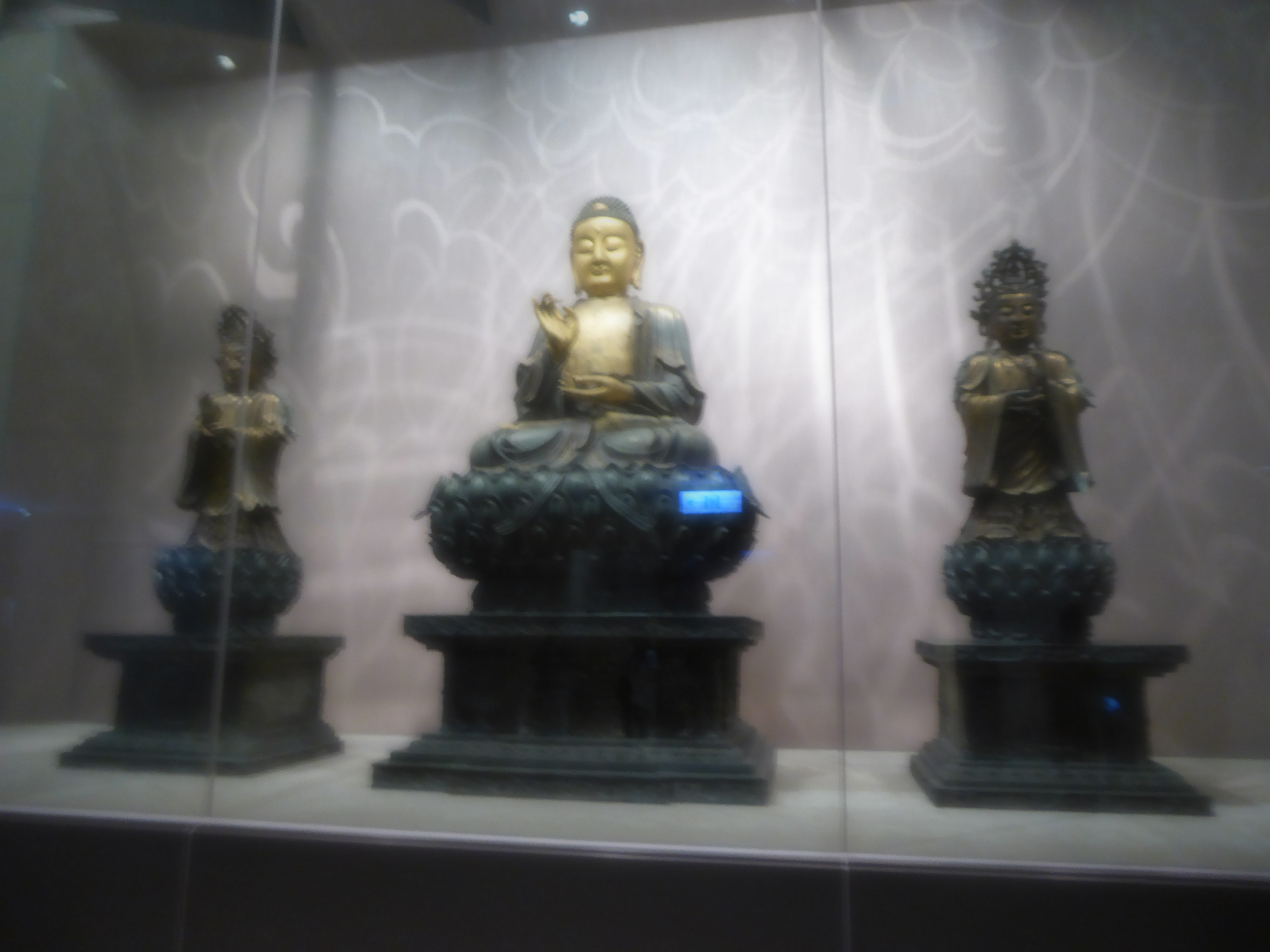 P1070107.JPG
