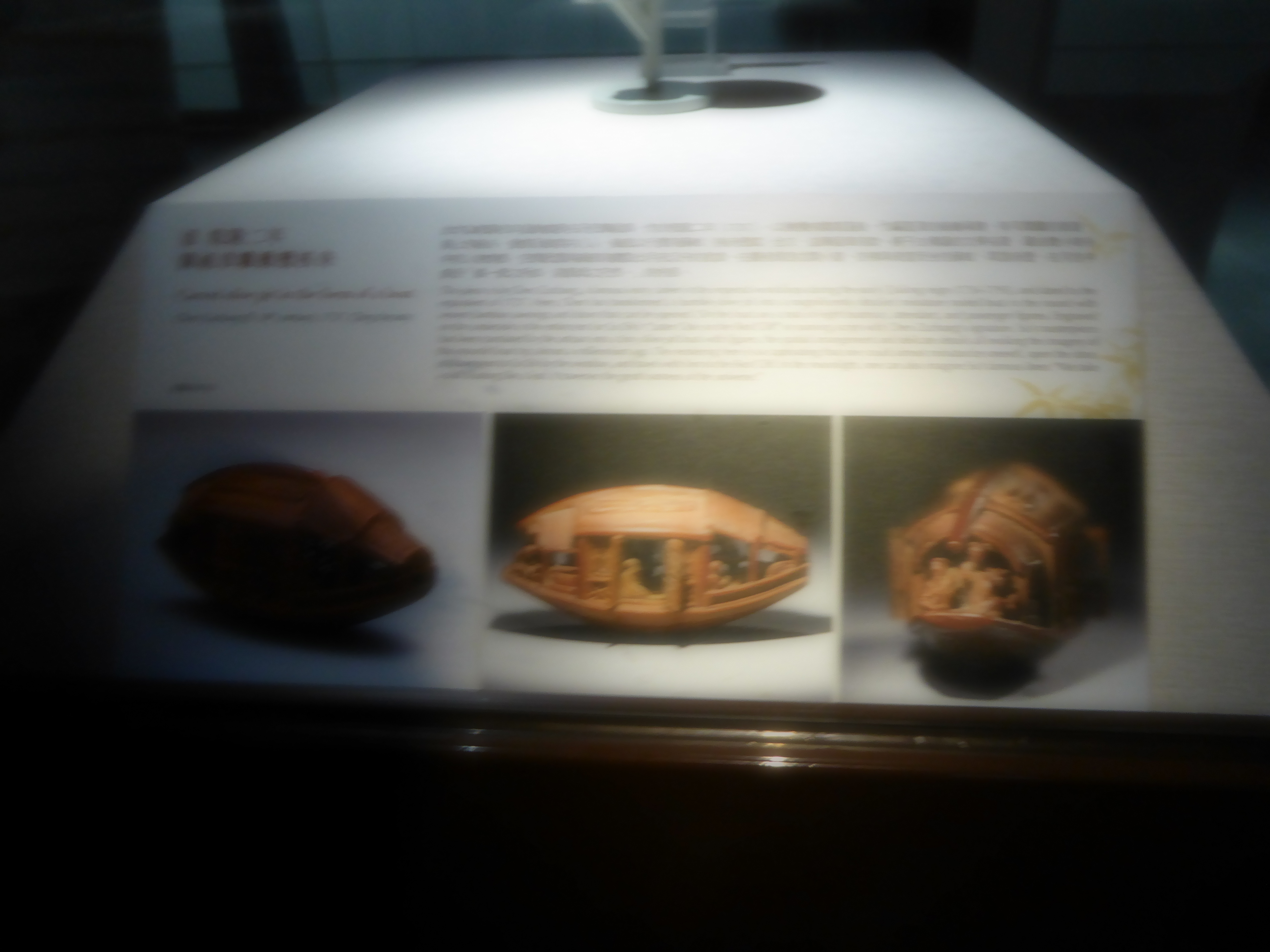 P1070109.JPG
