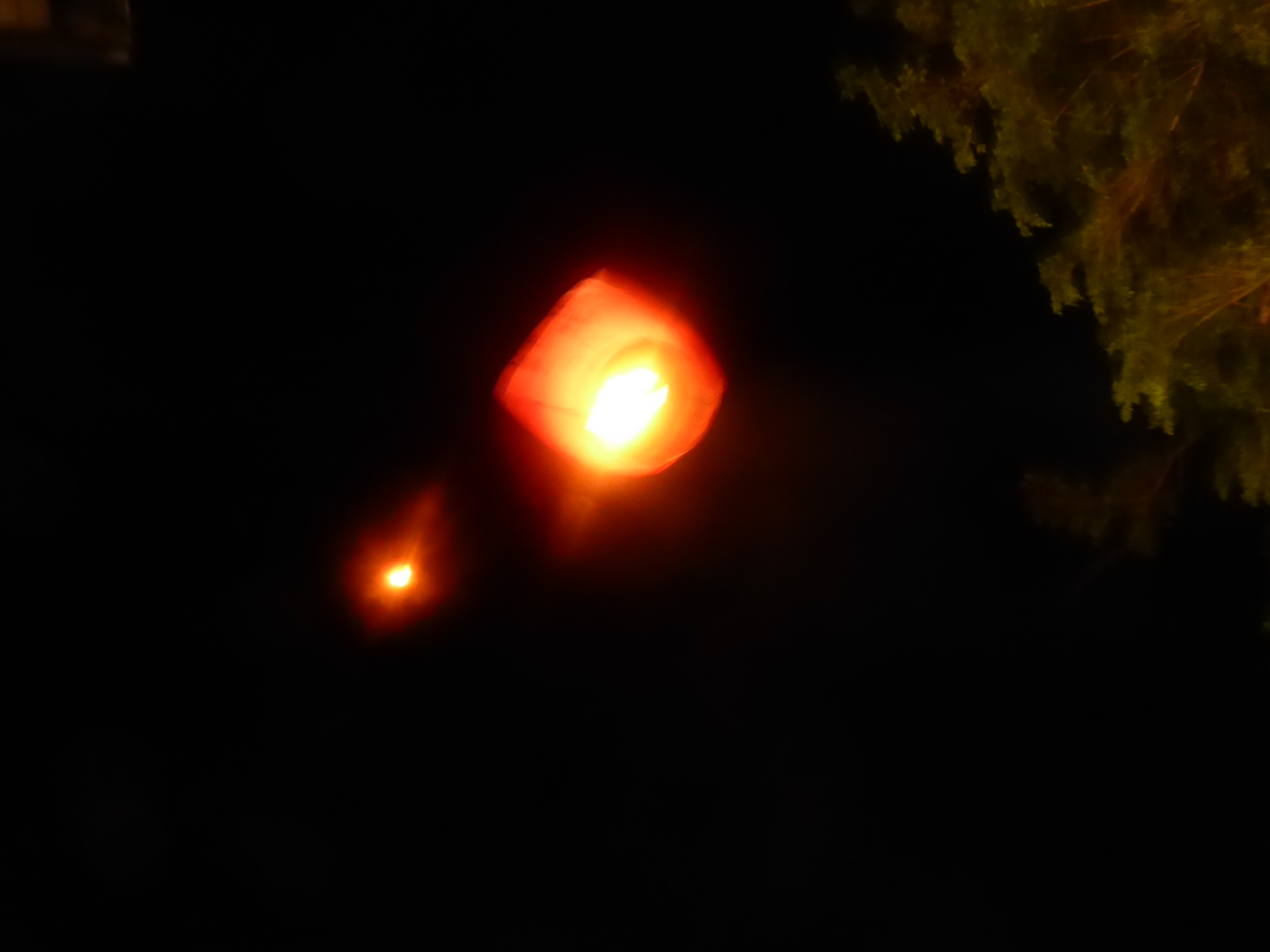 P1070151.JPG